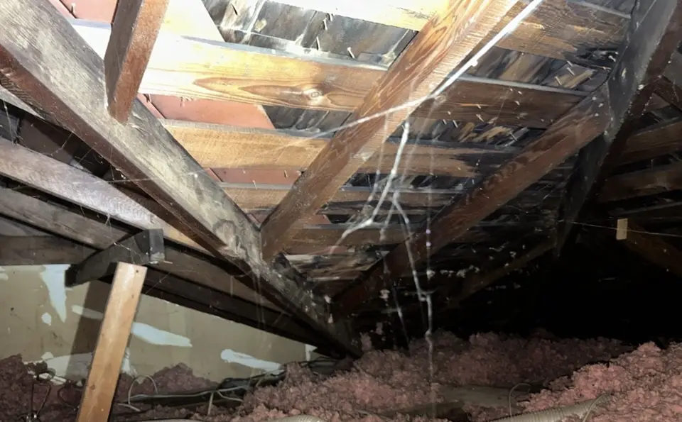 Estructura y aislamiento del ático durante una inspección